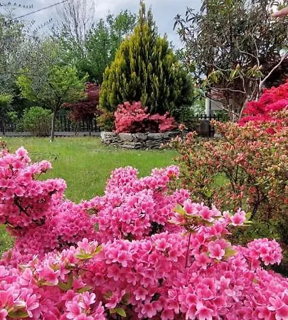 Eden Bed & Breakfast