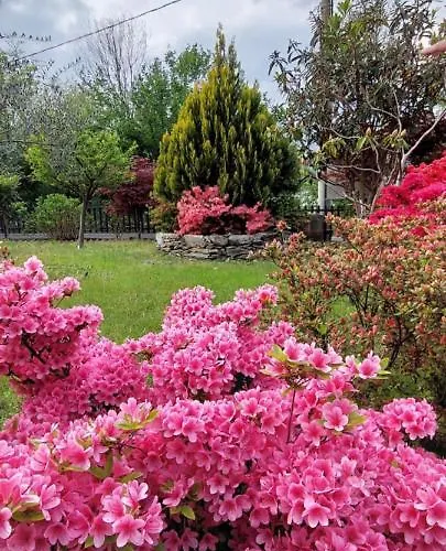 Eden Oda ve Kahvaltı